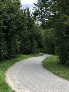Weg im FriedWald Schönbuch bei Tübingen